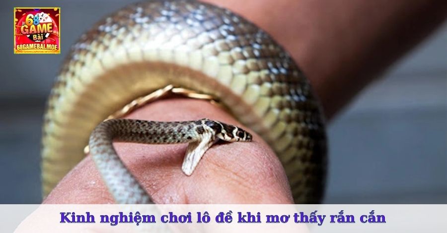 Kinh nghiệm chơi lô đề khi mơ thấy rắn cắn