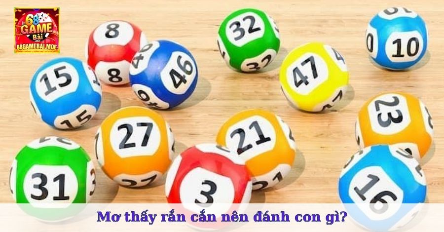 Mơ thấy rắn cắn nên đánh con gì?