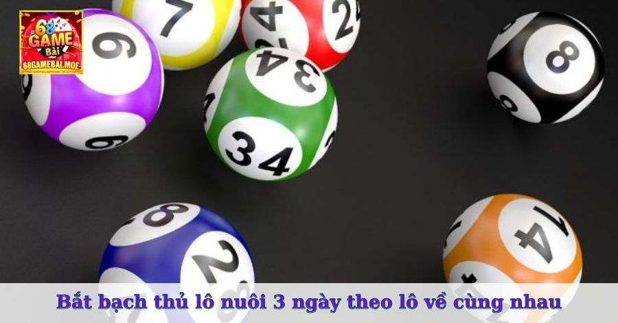 Bắt bạch thủ lô nuôi 3 ngày theo lô về cùng nhau