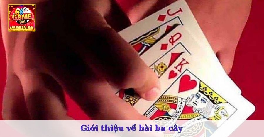 Giới thiệu về bài ba cây